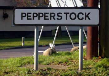 Pepperstock sign March 2007